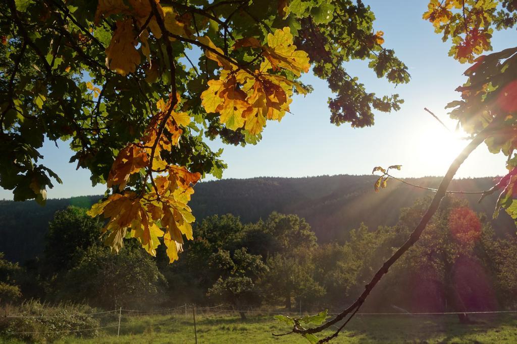 Naturhotel Ruegers Forstgut Mespelbrunn Buitenkant foto