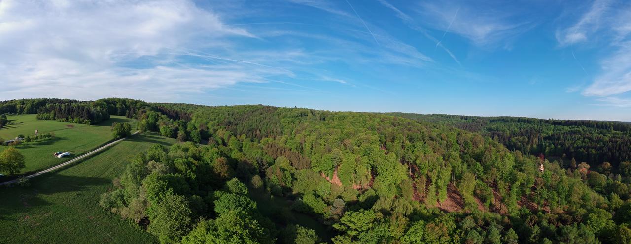 Naturhotel Ruegers Forstgut Mespelbrunn Buitenkant foto